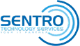 Sentro-Technology-Services-FF-01-2 (1)